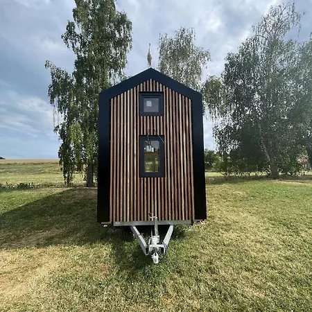 Mycosytiny * Griesheim-près-Molsheim