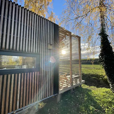 Mycosytiny Griesheim-près-Molsheim