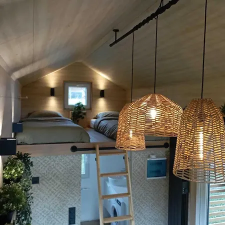 Mycosytiny * Griesheim-près-Molsheim